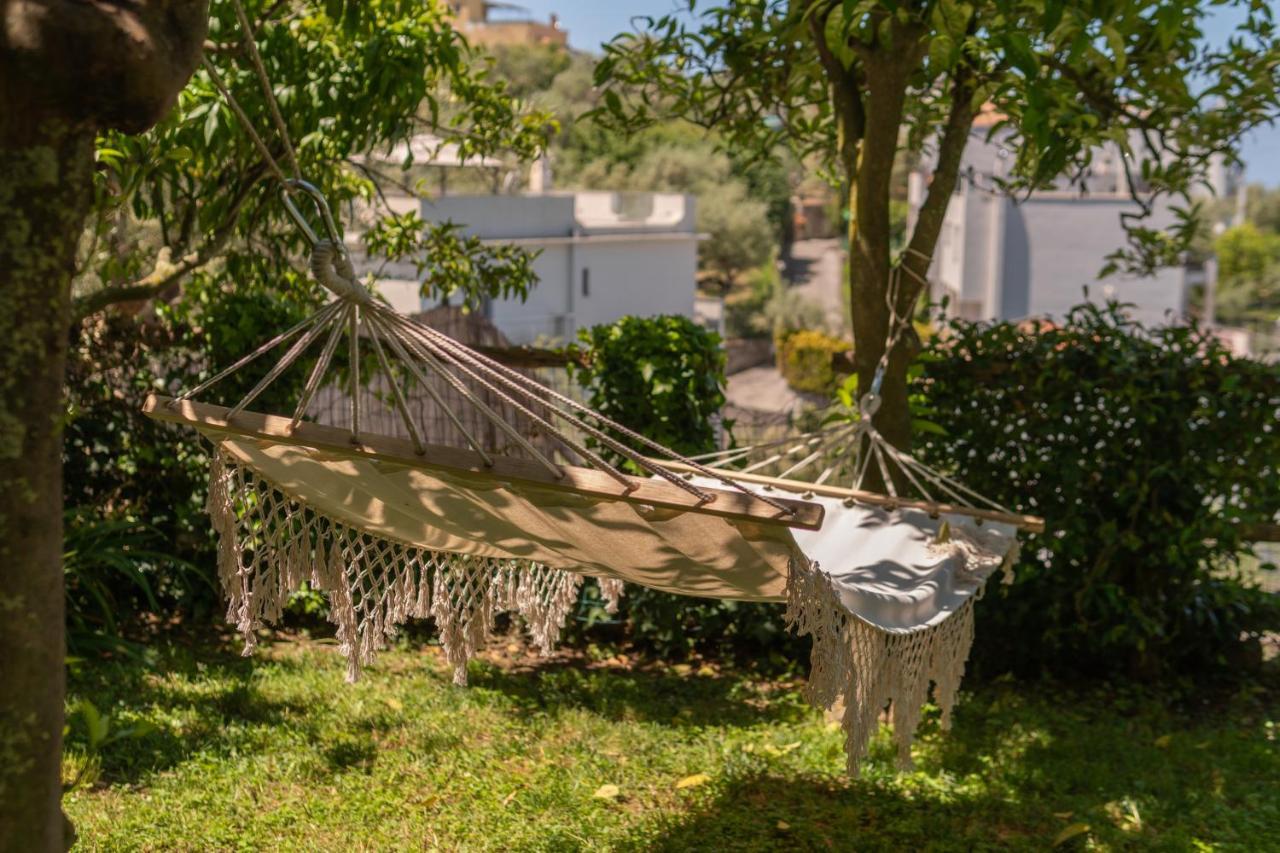 Villa Carolina Sorrento Private Heated Pool And Sea View 外观 照片