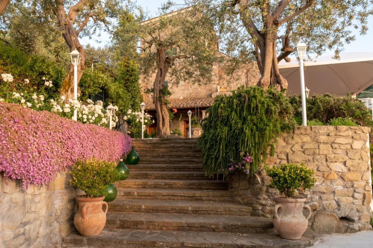 Villa Carolina Sorrento Private Heated Pool And Sea View 外观 照片