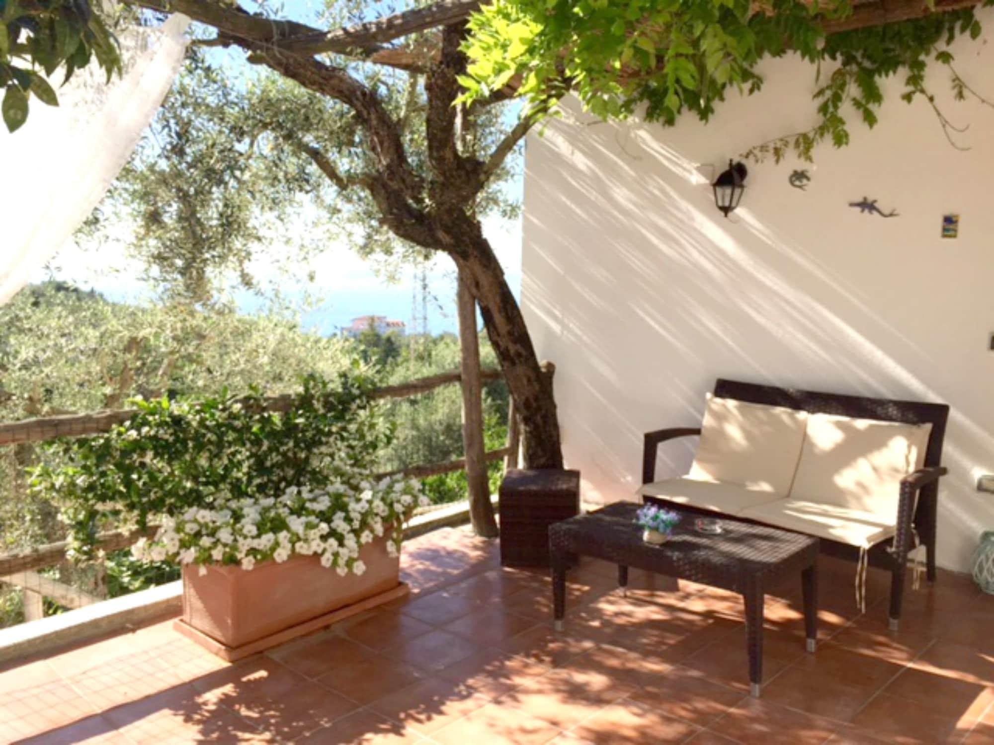 Villa Carolina Sorrento Private Heated Pool And Sea View 外观 照片