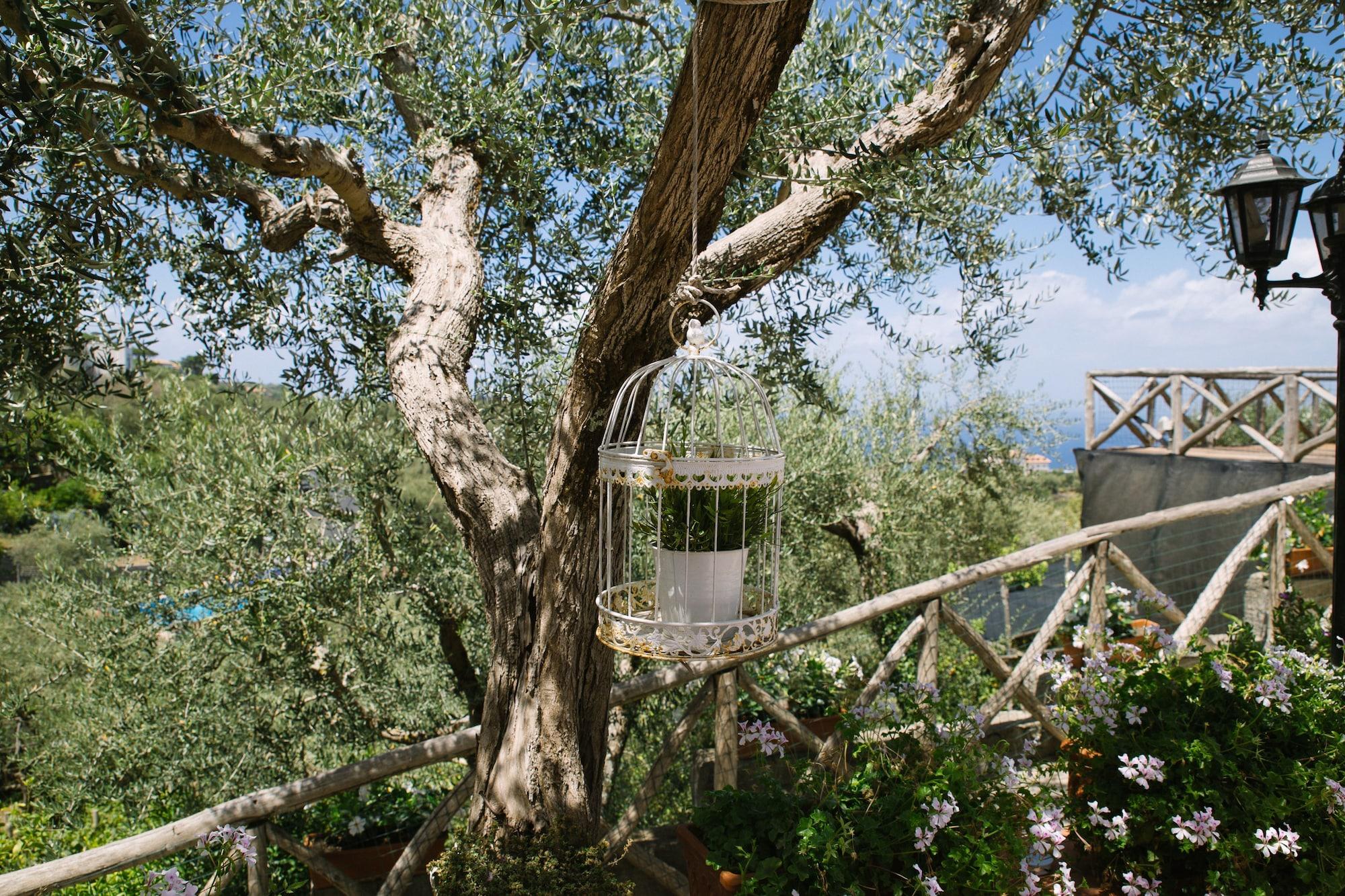 Villa Carolina Sorrento Private Heated Pool And Sea View 外观 照片