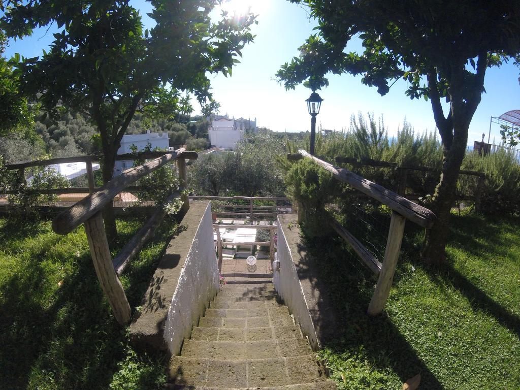 Villa Carolina Sorrento Private Heated Pool And Sea View 外观 照片